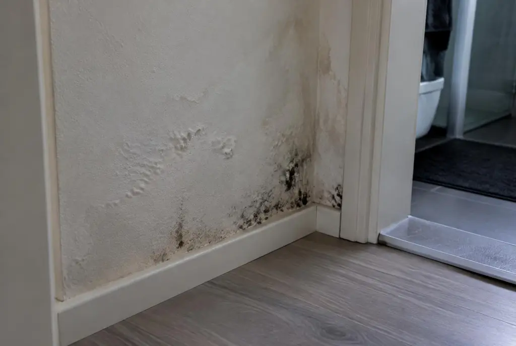 Lekdetectie Beesd – vochtplek met schimmel op een muur